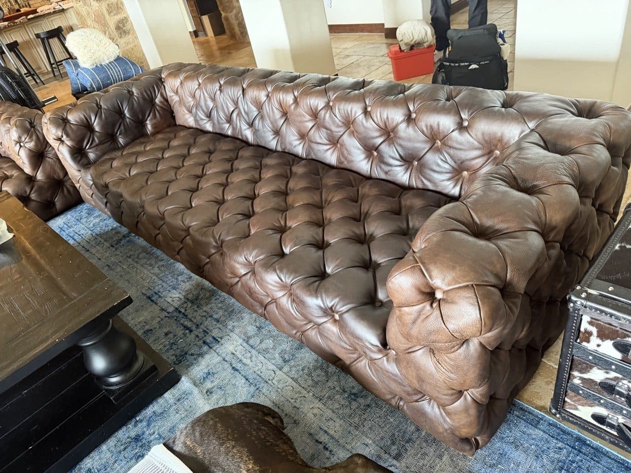 Aniline Leather Sofa Cleaning & Conditioning