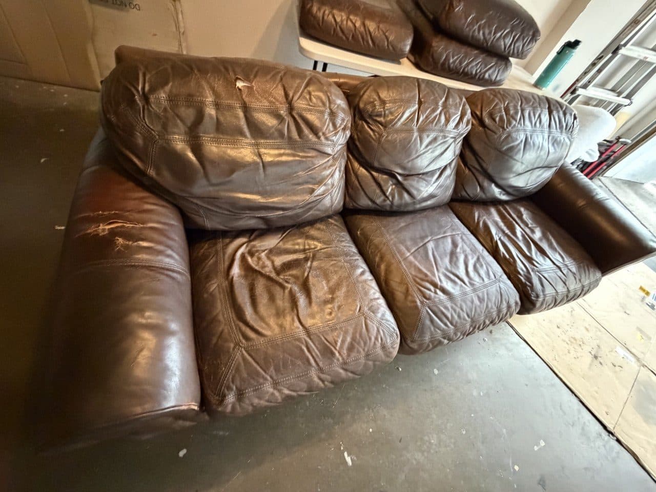 Leather Sofa Pet Damage And Tear Repair