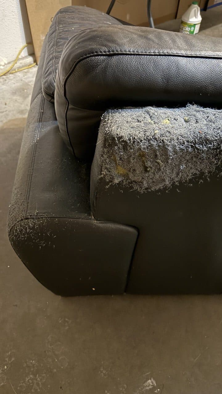 Before: Black Leather Sofa Pet Damage Repair