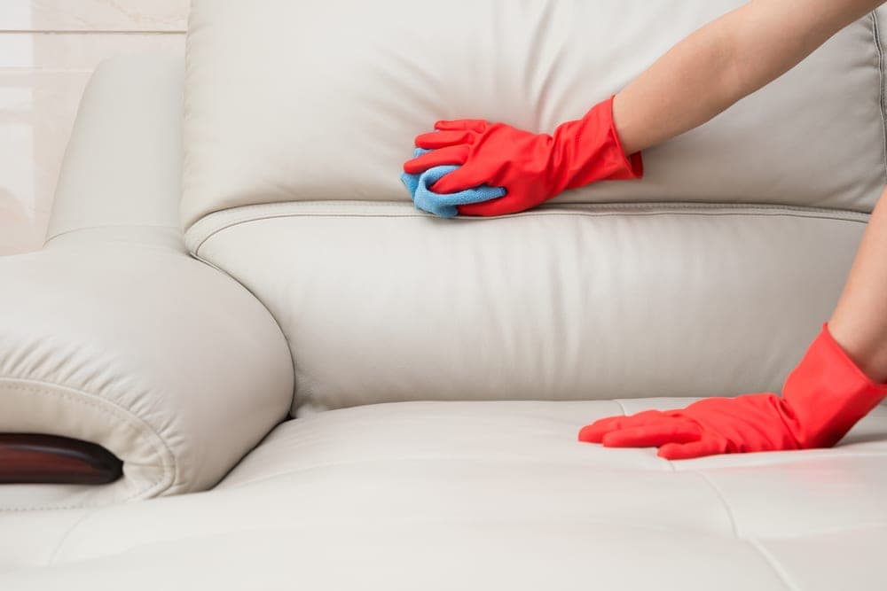 Leather Couch Stain Repair: Safe Stain Removal & Professional Restoration by L3Xpro
